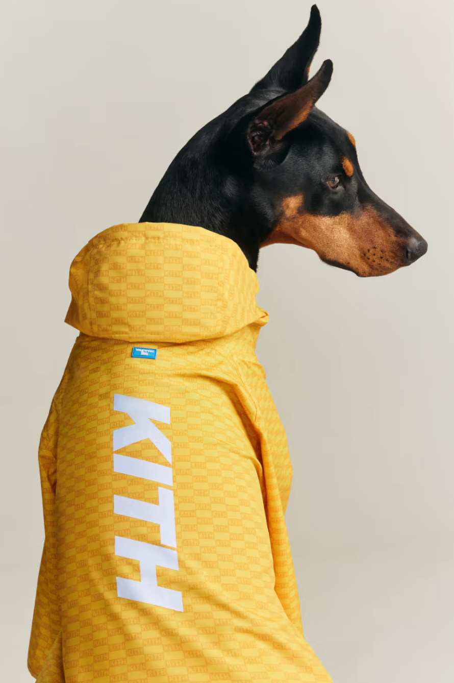 Alpha Industries x BUNNEY: the MA-1 is a Modern Heirloom