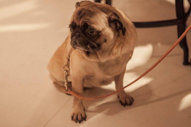 Don’t Believe The Hype battle party