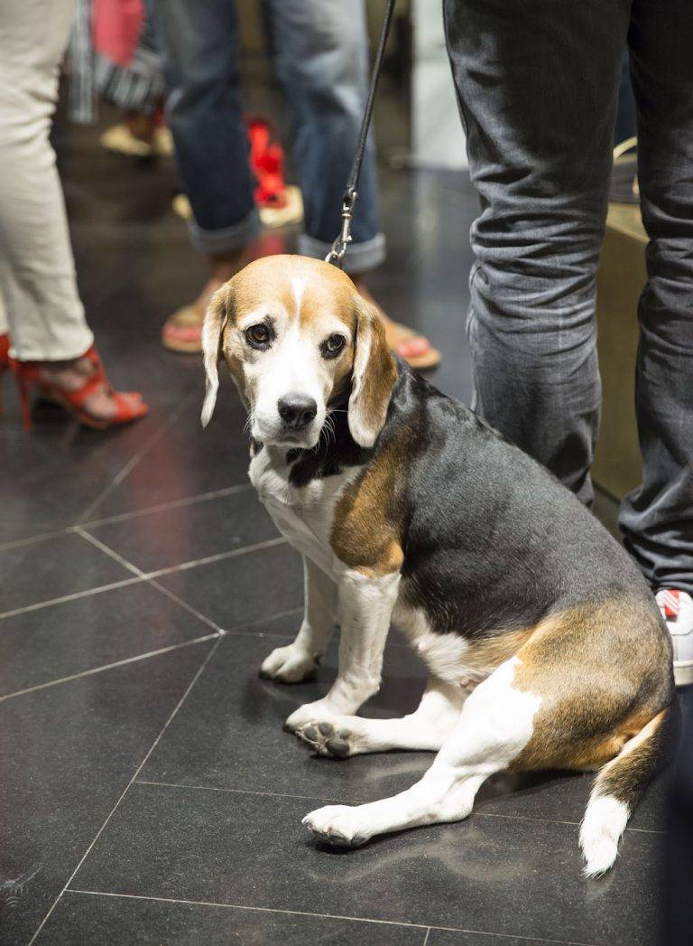 Lancement du popup-store By Marie aux Galeries Lafayette