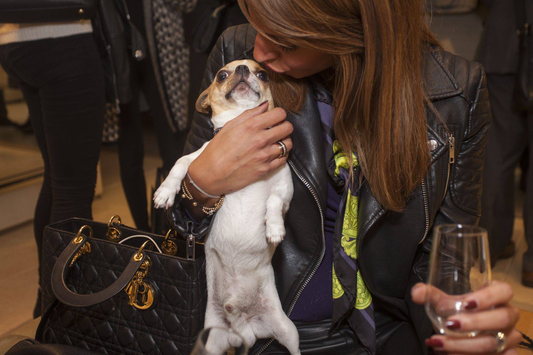  - HOGAN CLUB – One Night Only