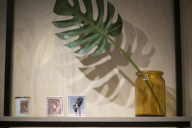 Inauguration du café-lunettes Jimmy Fairly