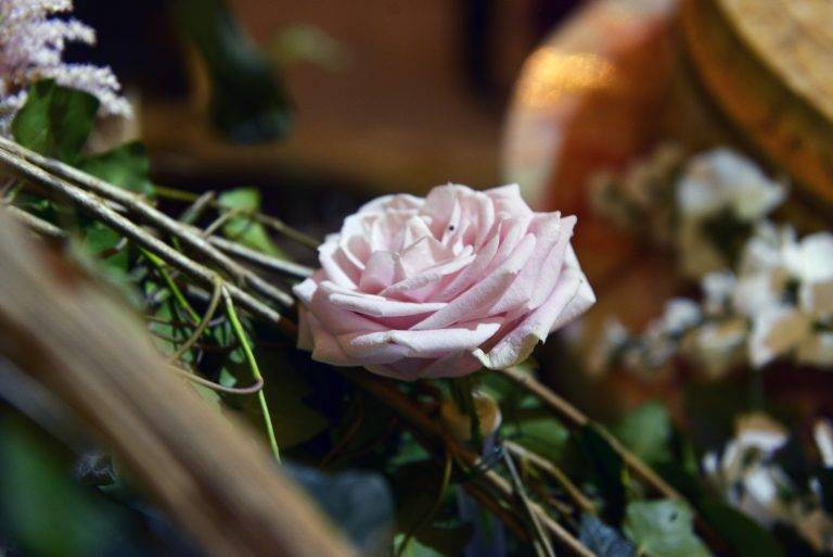 Opening Season Gala du Ballet de l’Opéra de Paris