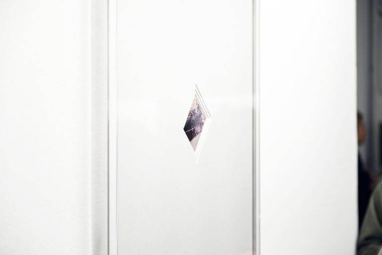 Vernissage de l’exposition collective ‘Fertile Lands’