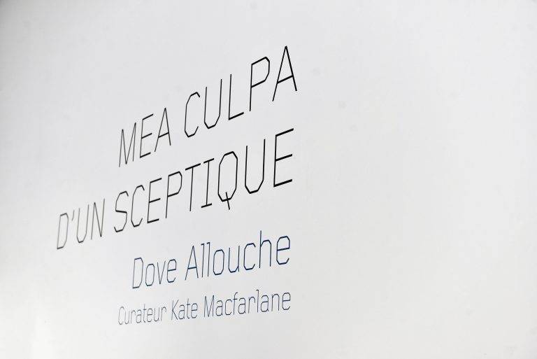 Vernissage de l’exposition ‘Mea Culpa d’un sceptique’, de Dove Allouche