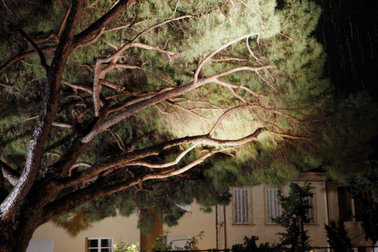 Soirée du film « Confession d’un enfant du siècle »