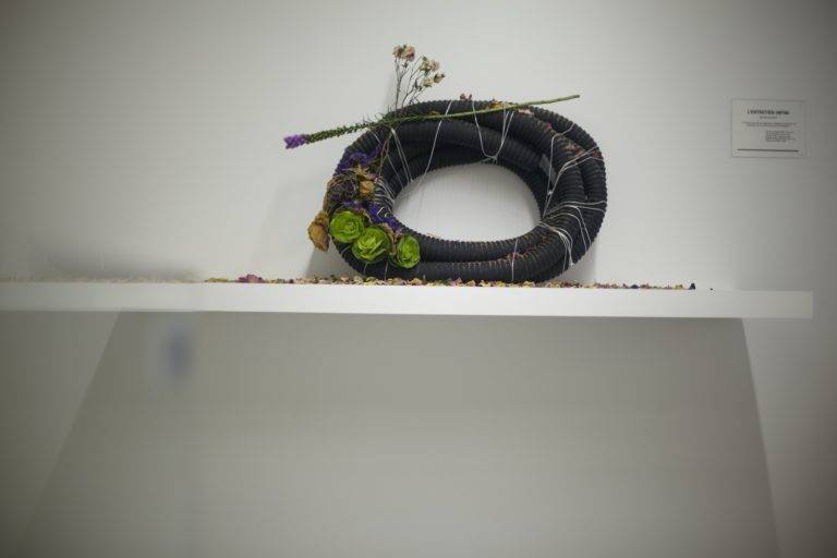 Preview Camille Henrot