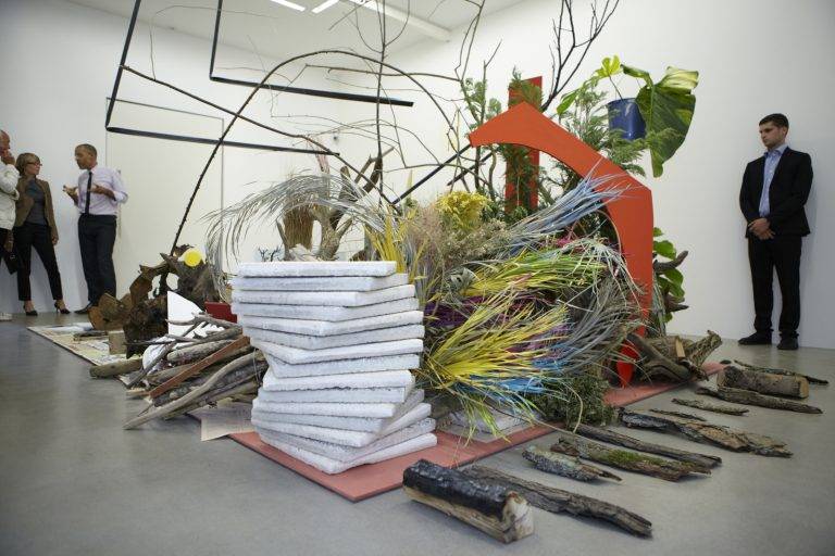 Preview Camille Henrot