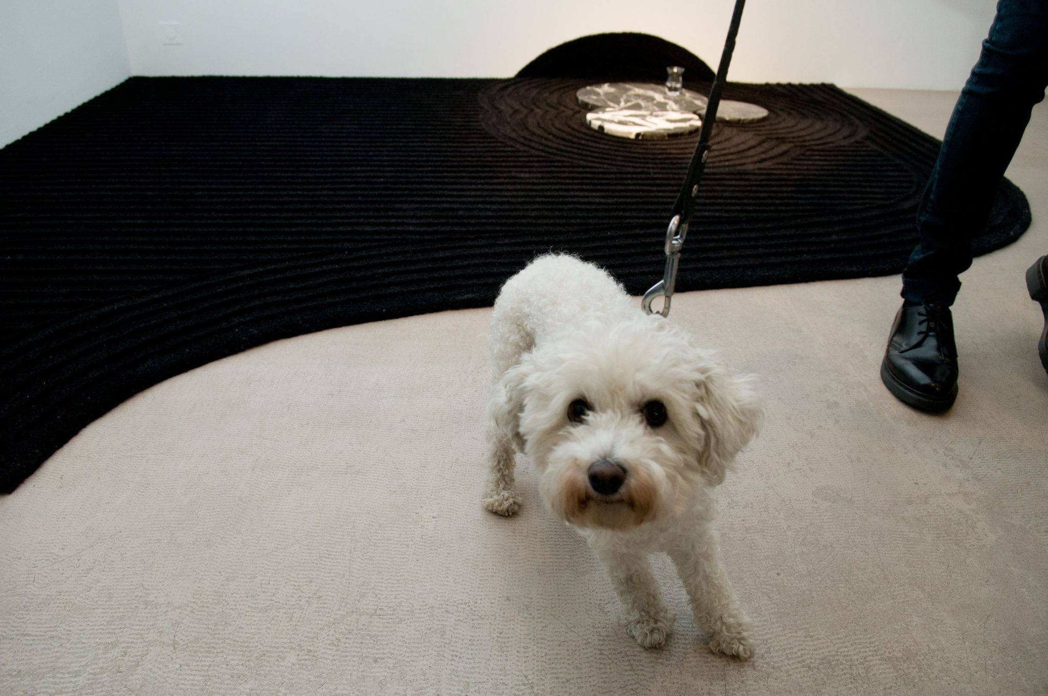  - Vernissage « Judogi », de José Lévy