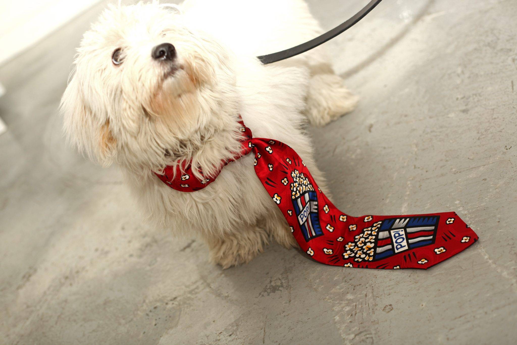  - Vernissage Burton Morris