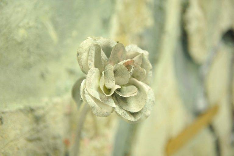 Vernissage ‘évocateur’