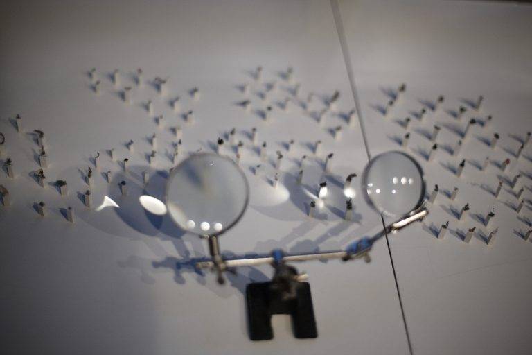 Vernissage ‘Les copains d’abord’