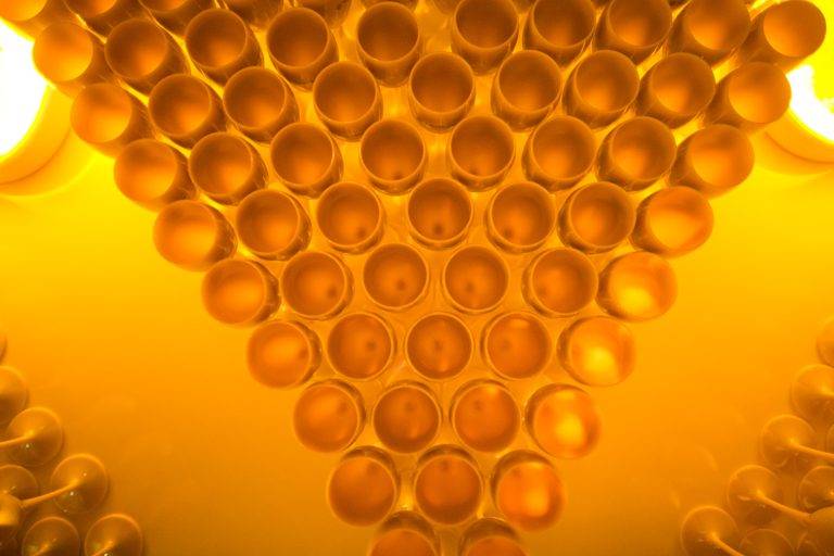 Prix du Fooding Guide 2013