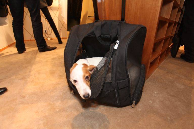 Cocktail Anne Fontaine