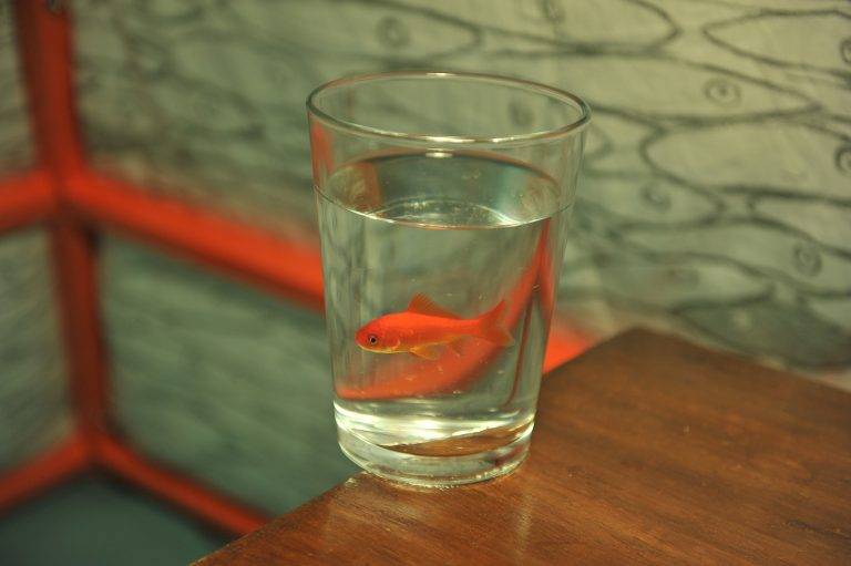 Vernissage Metri d’arte