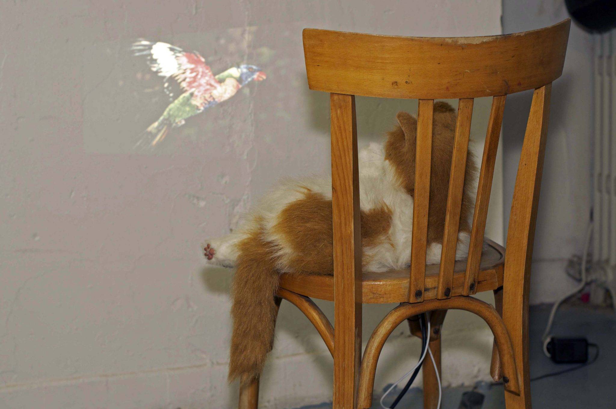  - Printemps de Septembre 2011 : énergies nouvelles