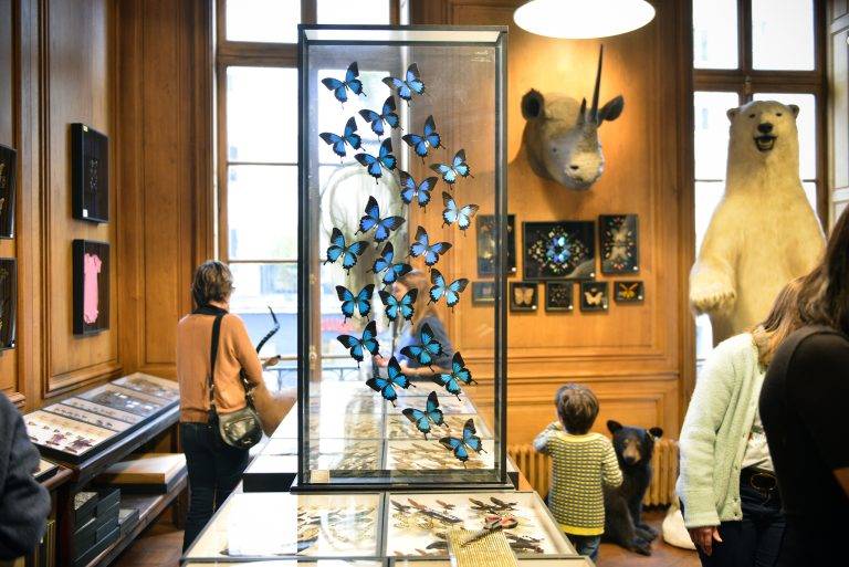 Petit Bateau et Deyrolle font l’École Buissonnière