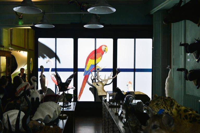 Petit Bateau et Deyrolle font l’École Buissonnière