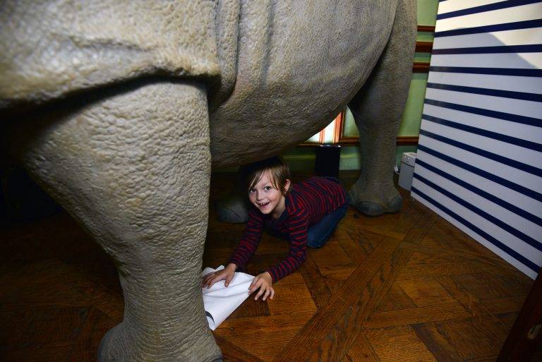 Petit Bateau et Deyrolle font l’École Buissonnière