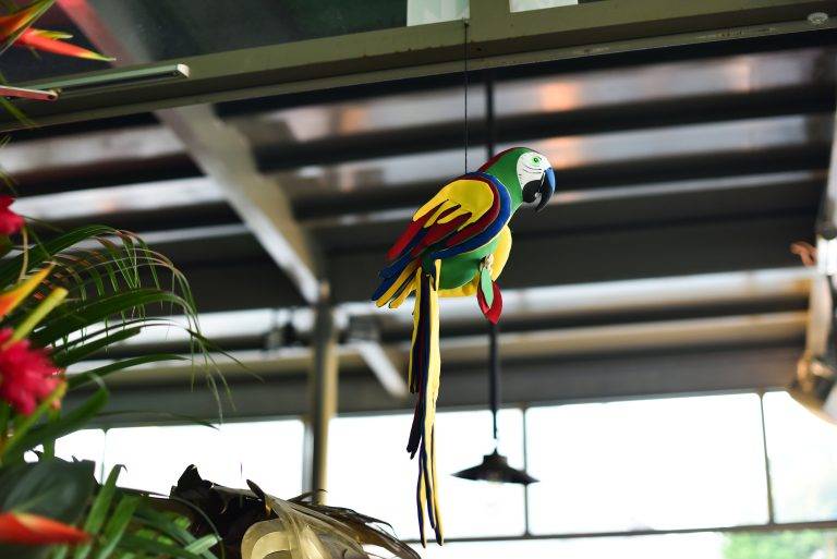 Le petit bout de Colombie d’Esteban Cortazar pour colette