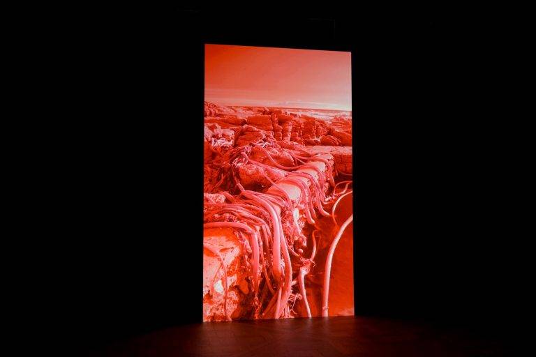 Transformer la réalité: la nature technologique d’Evan Roth