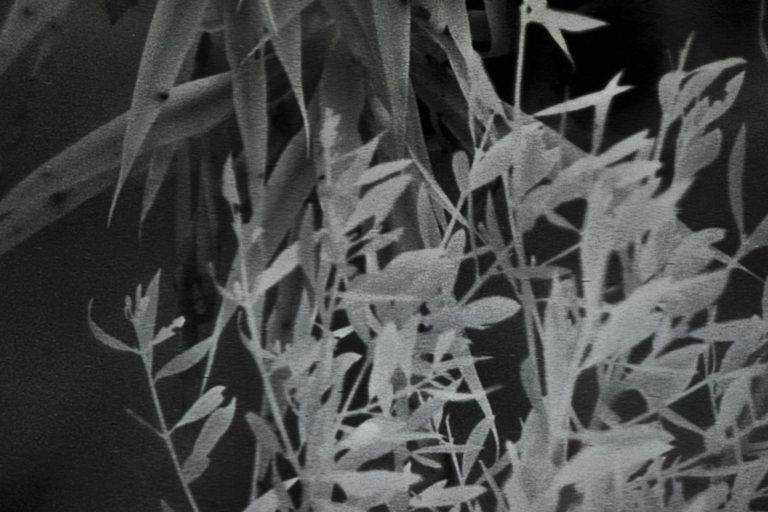 La Fondation d’entreprise Ricard expose le corpus narratif de Fabien Giraud et Raphaël Siboni