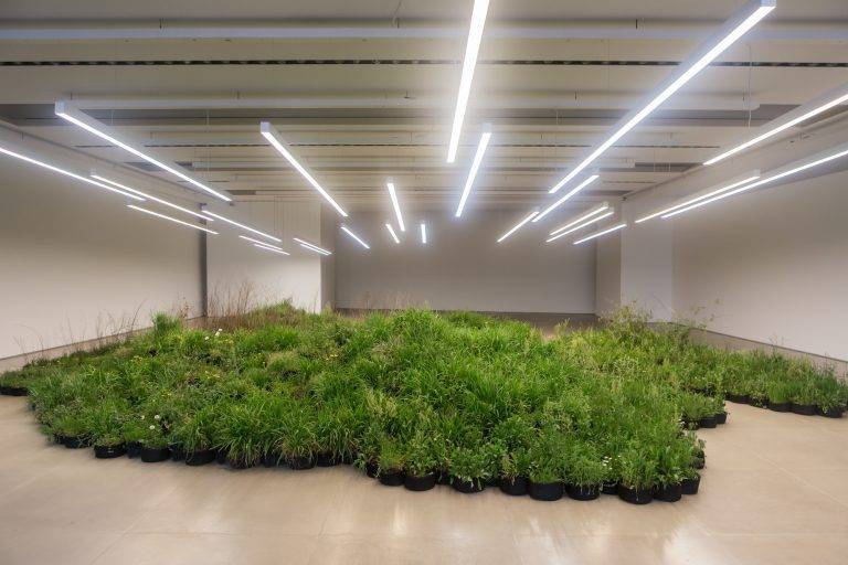 Linda Tegg brings nature to Jil Sander’s Milan HQ