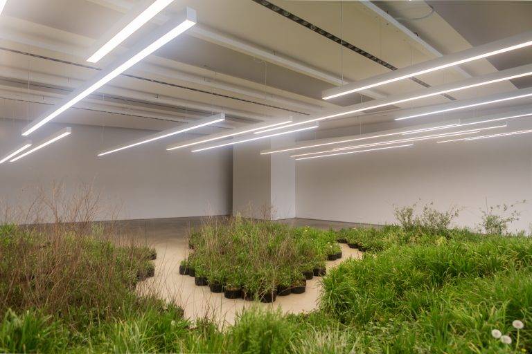 Linda Tegg brings nature to Jil Sander’s Milan HQ