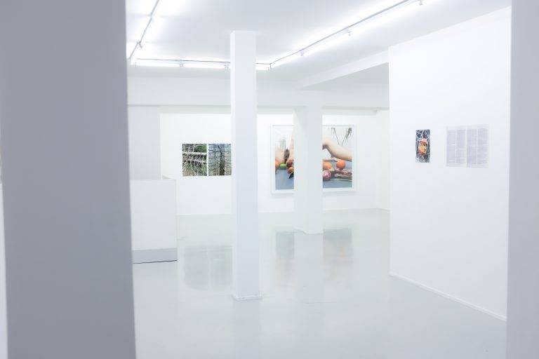 Juergen Teller et Dovile Drizyte bâtissent leur avenir à la galerie Suzanne Tarasieve