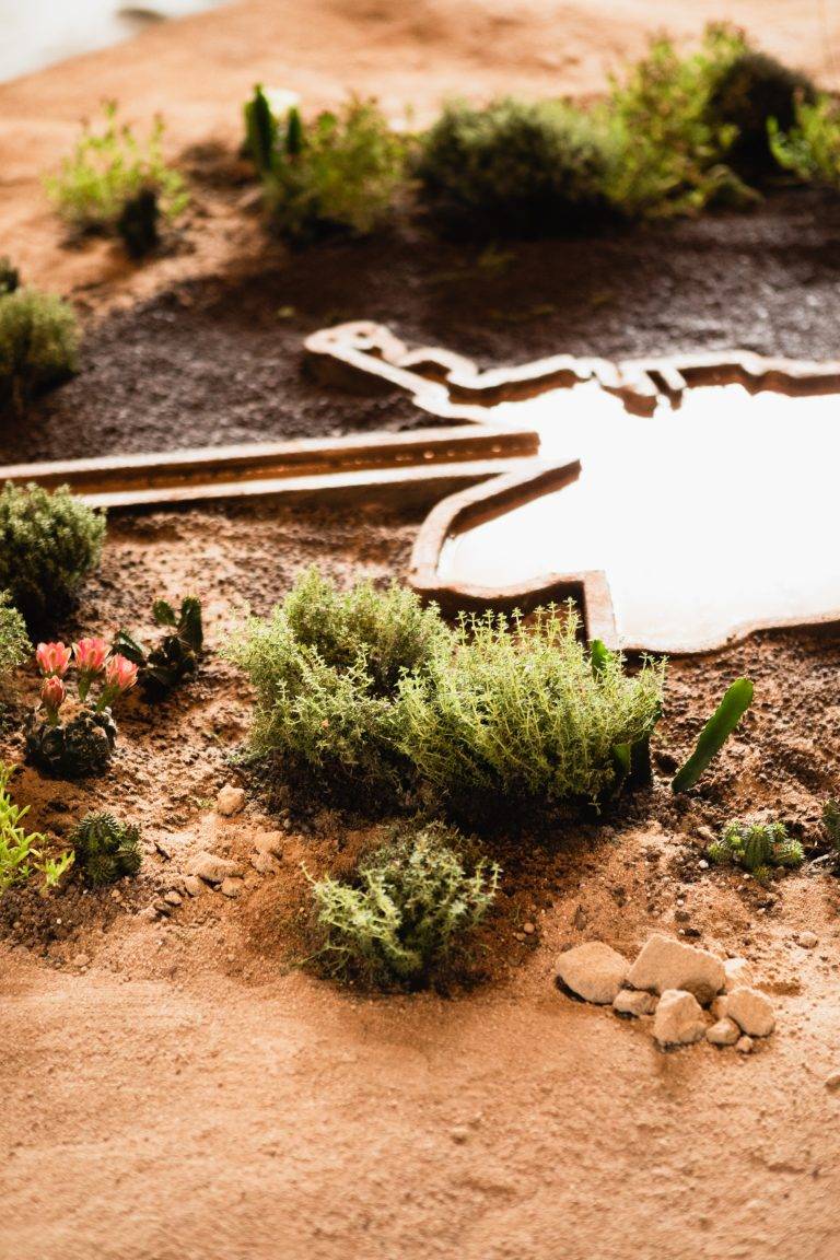 Si apre a Venezia la Biennale Architettura 2023 e dà voce a tutta l’Africa