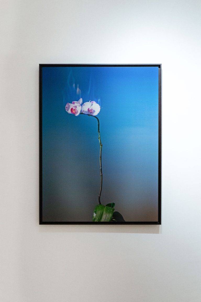Guerlain présente son exposition intitulée « Les Fleurs du Mal » dans le cadre de Paris+ par Art Basel