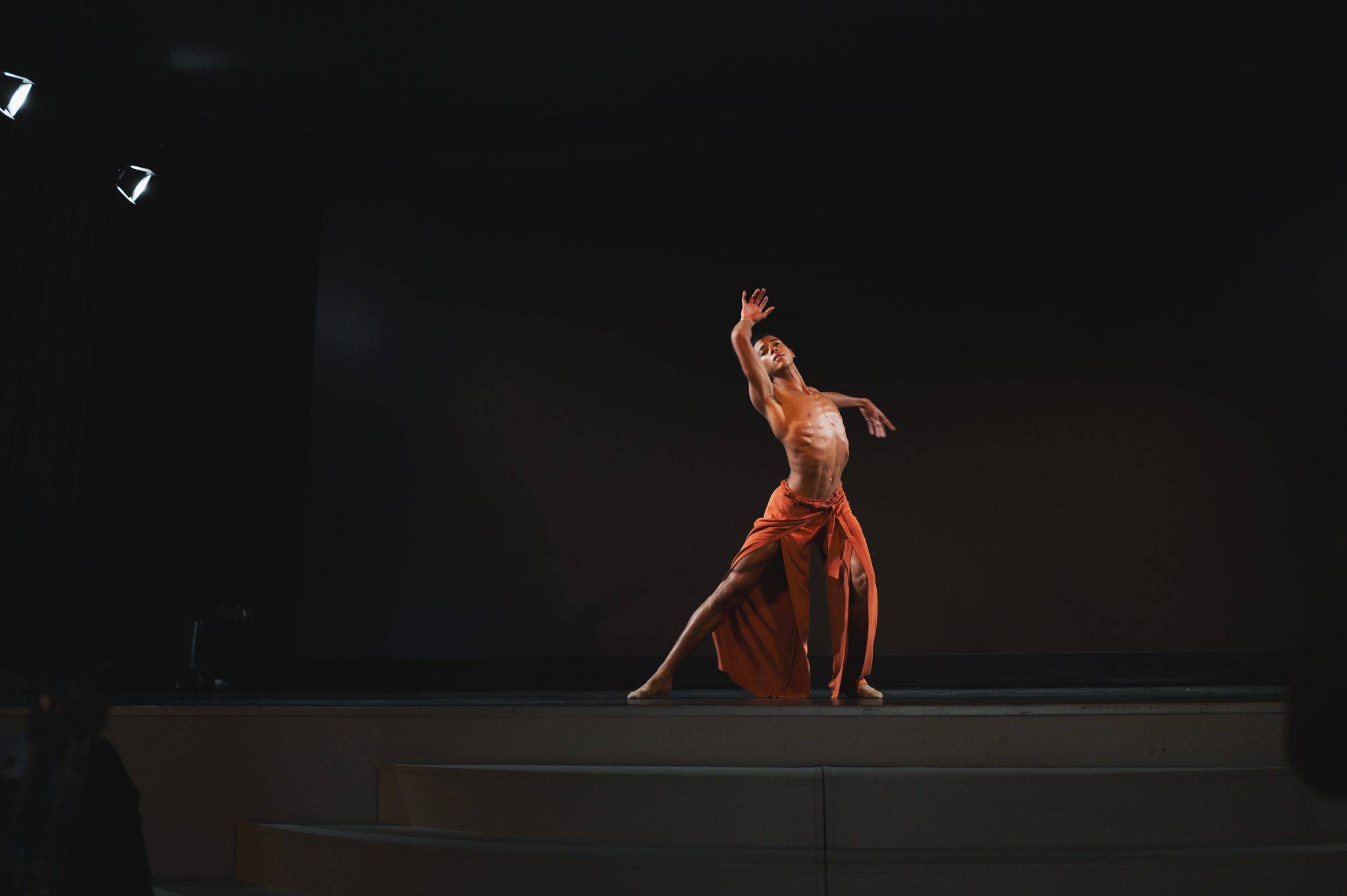  - Fighting against aids, The 13th LINK Foundation Dinner for AIDES