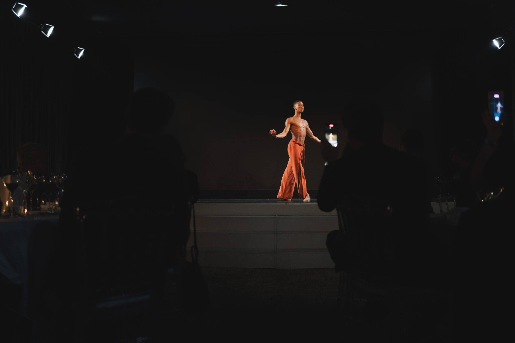  - Fighting against aids, The 13th LINK Foundation Dinner for AIDES