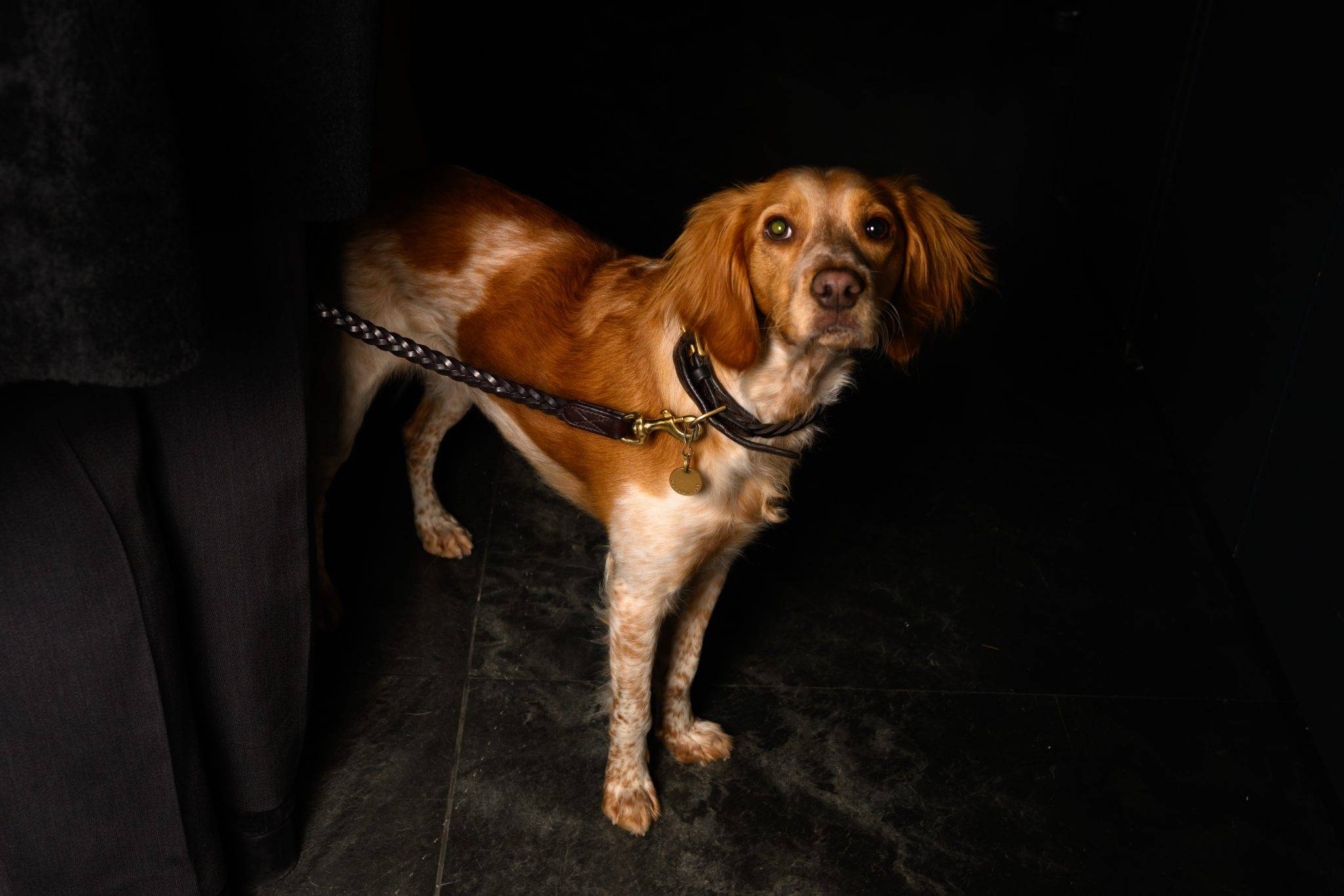  - The Launch of Neptune Papers’ 5th Issue at Downtown Gallery