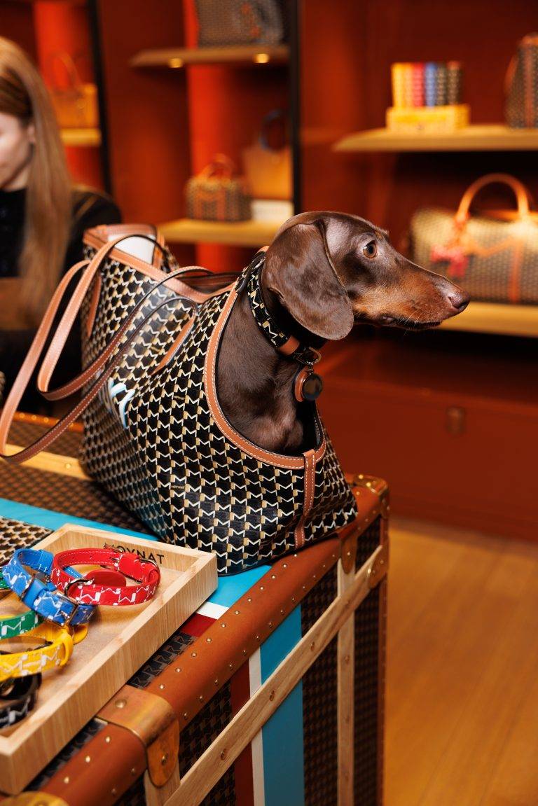 Moynat Launches its Exclusive Capsule for Pets at Le Bon Marché