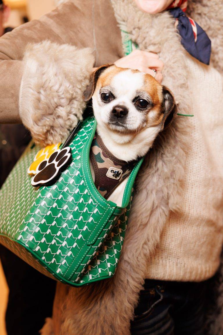 Moynat Launches its Exclusive Capsule for Pets at Le Bon Marché