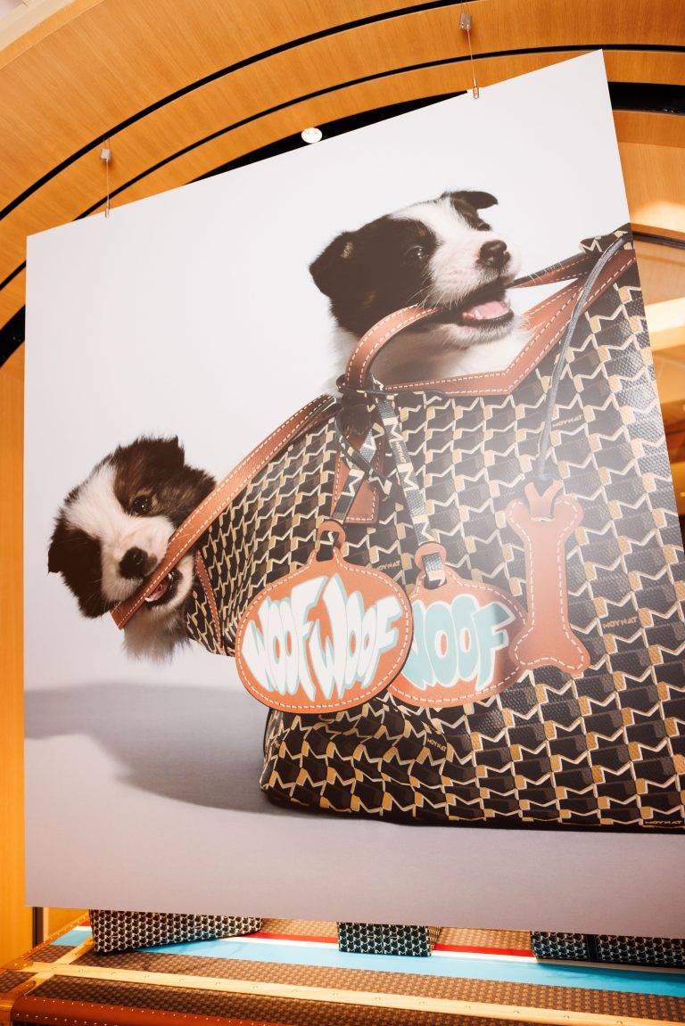 Moynat Launches its Exclusive Capsule for Pets at Le Bon Marché