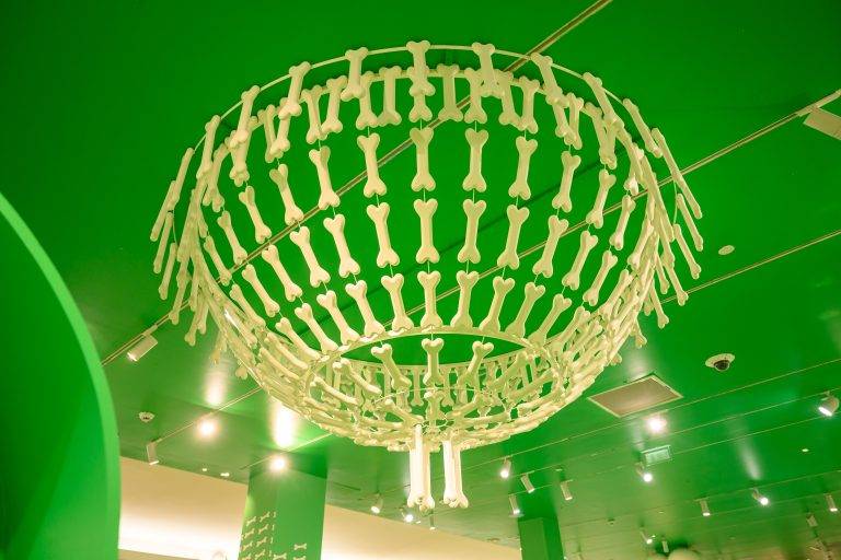 Je t’aime comme un chien, l’exposition du Bon Marché