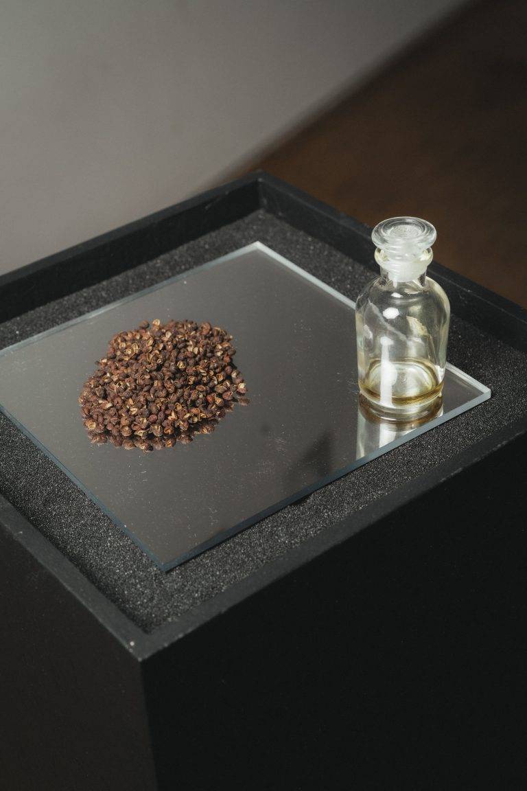 Cocktail de lancement de Castley, la nouvelle fragrance de Parfums de Marly