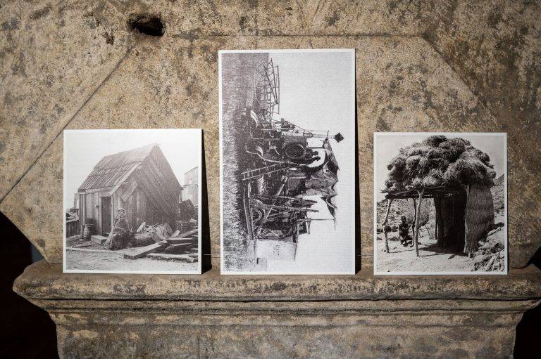 Rencontres d’Arles 2025: Highlights of a Committed 56th Edition