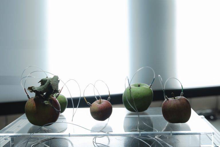 Yuko Mohri a Pirelli HangarBicocca: grovigli, suoni e sculture effimere