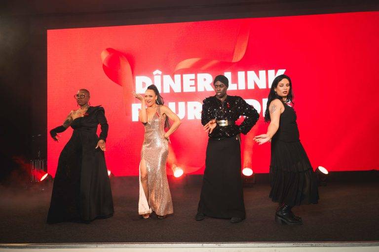  - The 15th Edition of the LINK Dinner for AIDES at Pavillon Gabriel