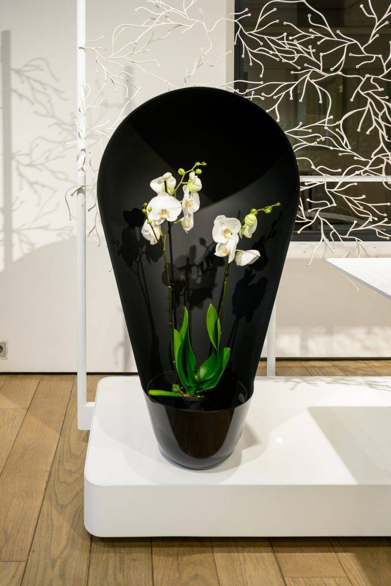 Christie’s Invites the Kreo Gallery for an Exclusive Carte Blanche