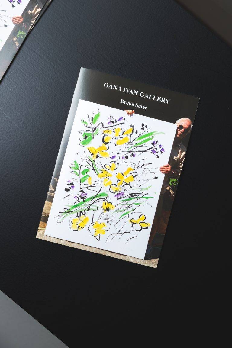 Oana Ivan Gallery présente Small is big, sa première exposition de Bruno Suter 