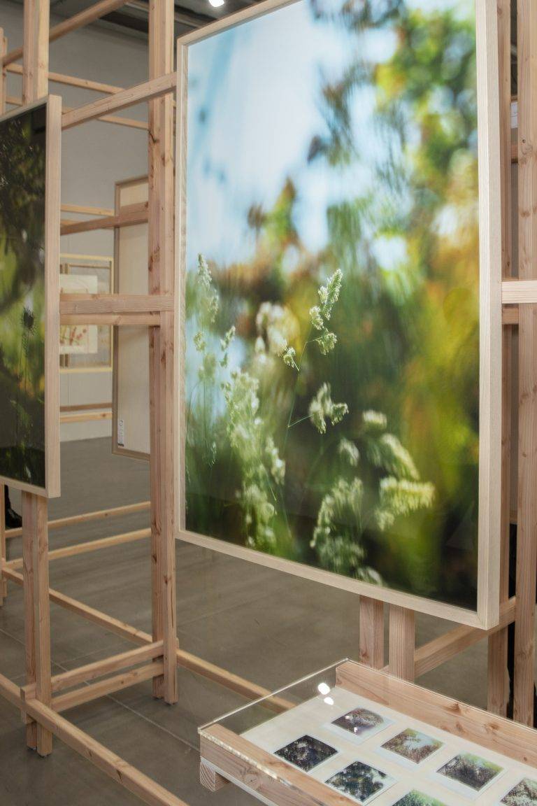 La fabuleuse exposition de Angela Detanico et Rafael Lain au Frac Sud