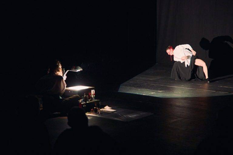  - Chaillot Expérience lève le voile sur le flamenco