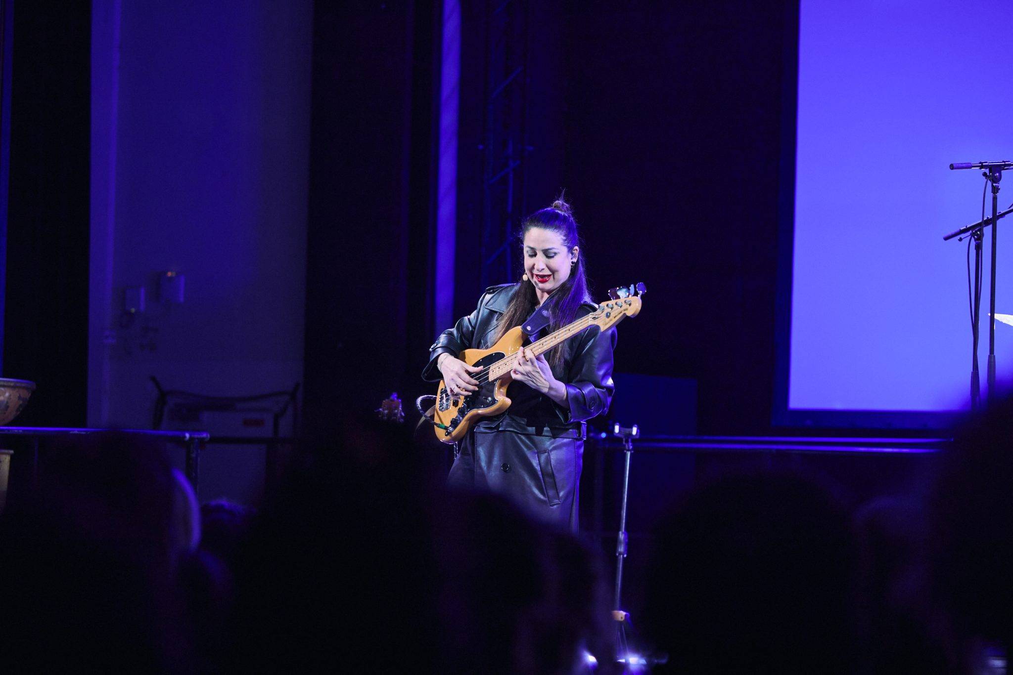  - Chaillot Expérience lève le voile sur le flamenco