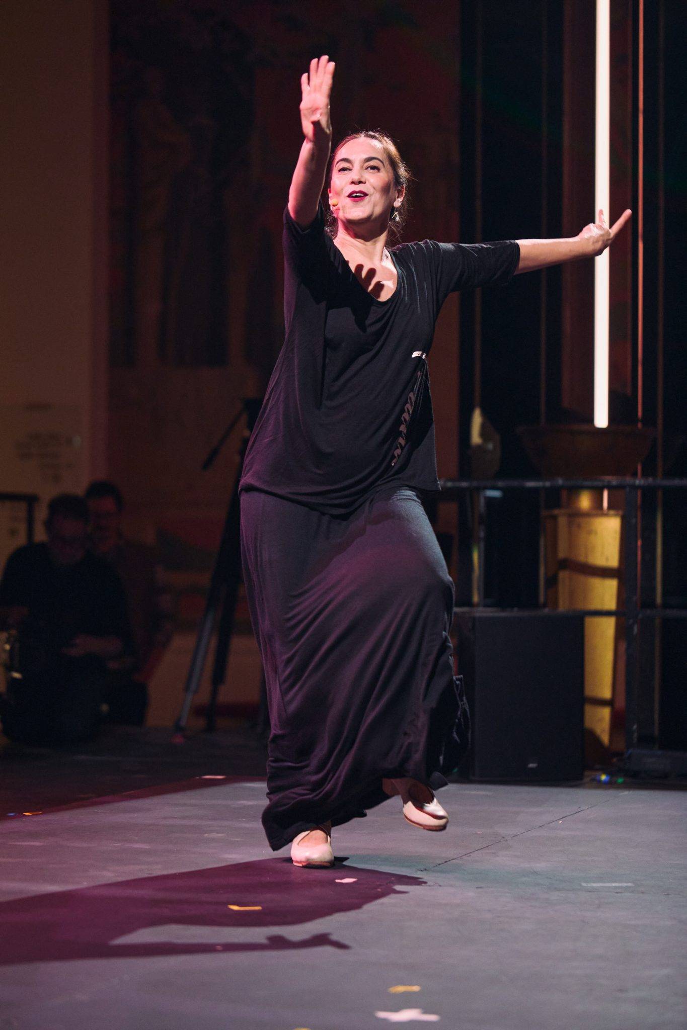  - Chaillot Expérience lève le voile sur le flamenco