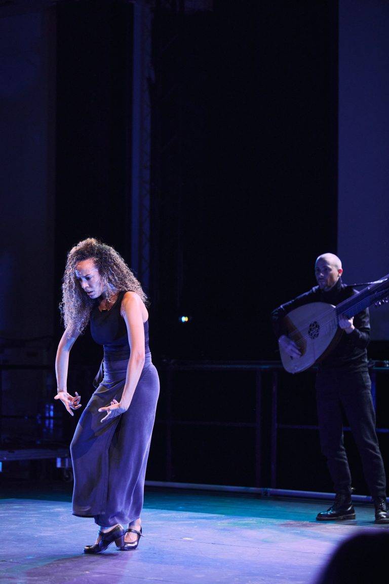  - Chaillot Expérience lève le voile sur le flamenco
