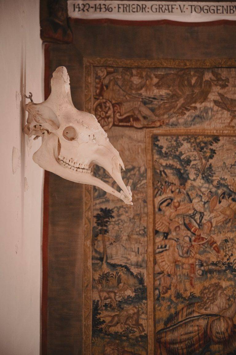 A Night at Tarasp Castle: NOMAD Meets Not Vital