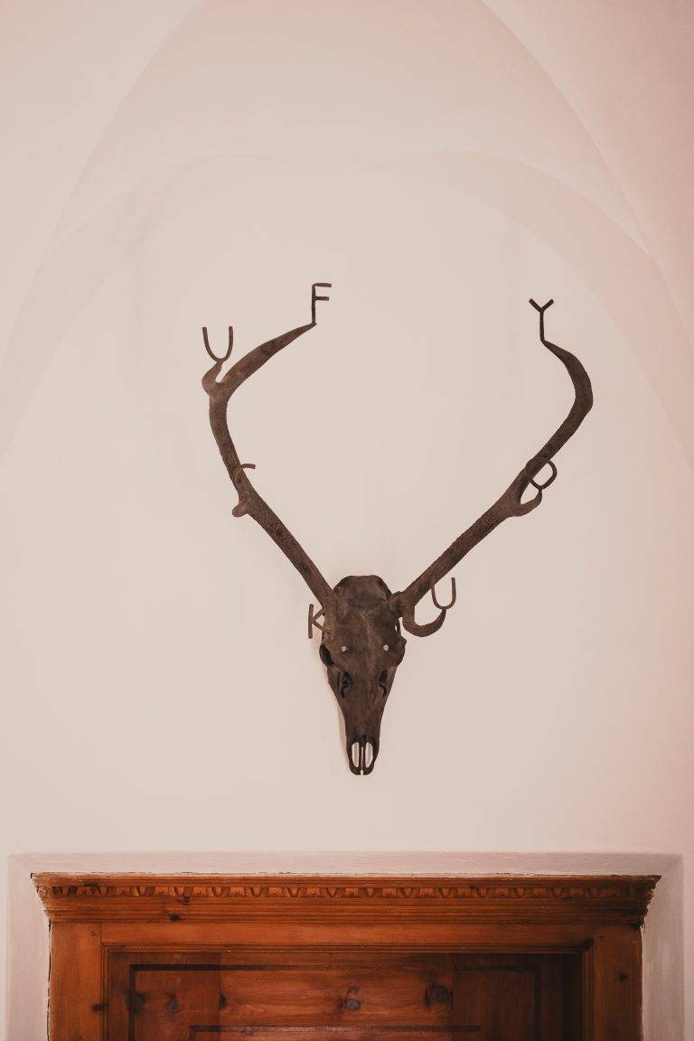 A Night at Tarasp Castle: NOMAD Meets Not Vital